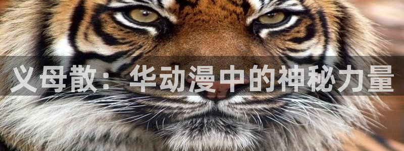 acg动漫全彩