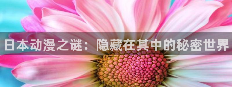 acg动漫 网站